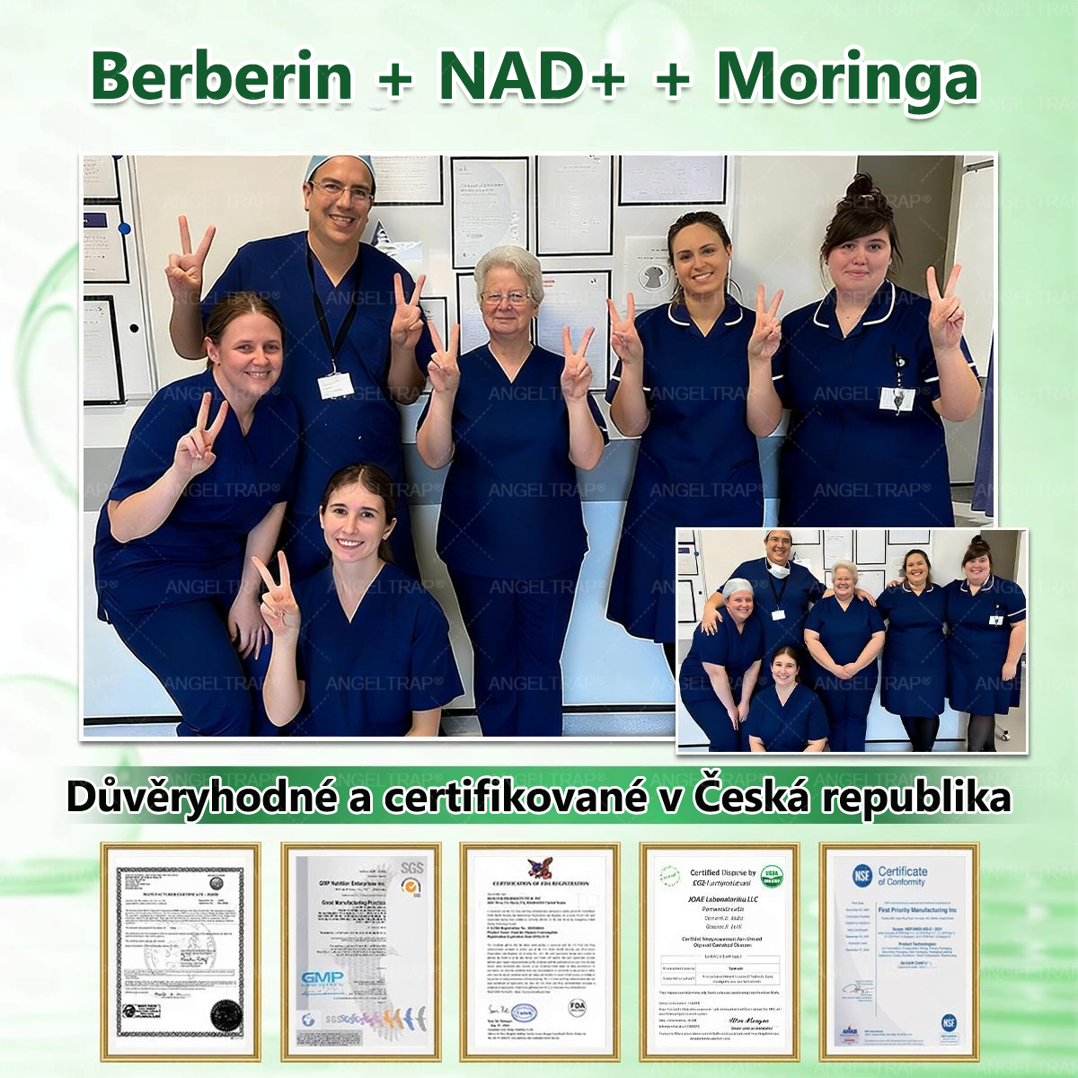 Oficiální prodejna  |  🧑‍⚕️ANGELTRAP® 𝐌𝐨𝐫𝐢𝐧𝐠𝐚 × 𝐁𝐞𝐫𝐛𝐞𝐫𝐲𝐧𝐚 × 𝐀𝐌𝐏𝐊 𝟏𝟎 v 1 – Zeštíhlující nano mikrojihlový náplast 🇨🇿 Jen 1× denně ✅ Viditelné změny za 7 dní – na obezitu, kardiovaskulární zdraví, diabetes a kloubní problémy💙💙💙
